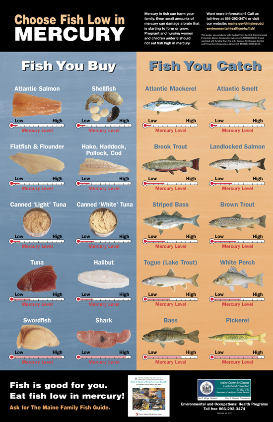 mercury poisoning from fish